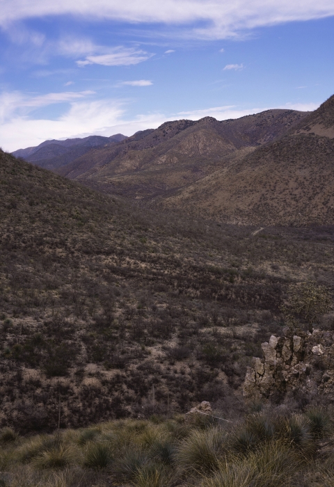 mountain desert landscape speckled with green vegetation