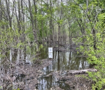 Refuge boundary sign in flood waters.