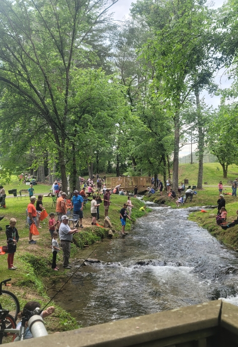 Families spread out along Dale Hollow NFH creek during the annual kids fishing rodeo