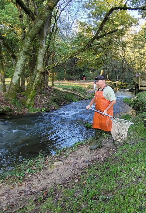 Jerry Short stocking Hatchery Creek with a net full of rainbow trout