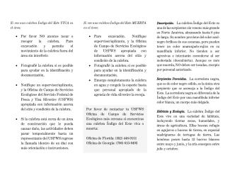 EIS-Pamphlet-Spanish-May-2024