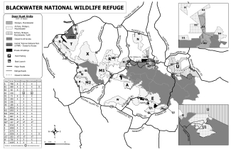 Blackwater NWR Deer Hunt Map 2024-25