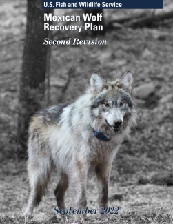 Mexican Wolf Recovery Plan, Second Revision
