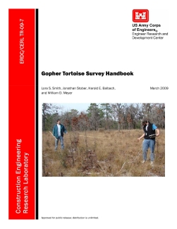 Gopher Tortoise Survey Handbook.pdf