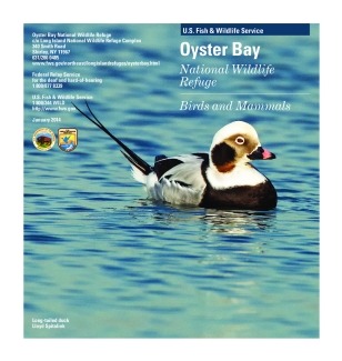 Oyster Bay Bird List.pdf
