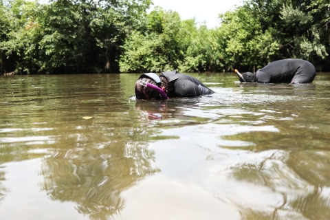 Two people, wearing wetsuits, snorkeling in a river