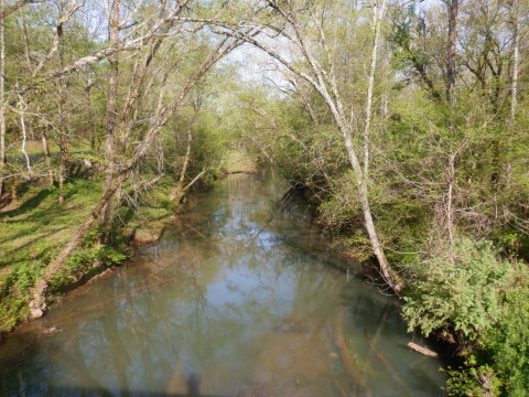 A photo overlooking a river with slow-flowing water. There are trees on both banks.