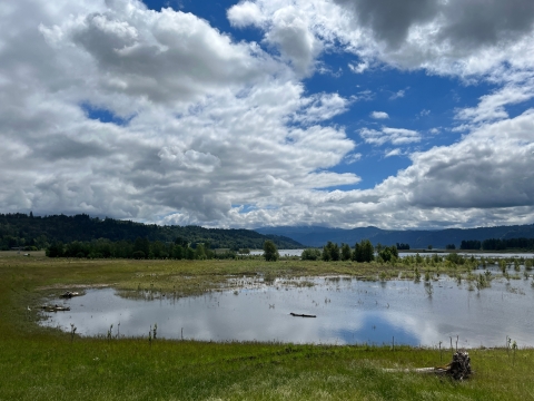 Clouds try to obscure the blue sky and sunshine at a wildlife refuge with floodplain, grassland and trees visible.