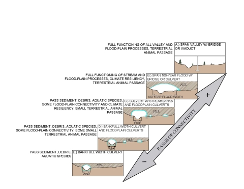 Five panels displaying possible crossing structures. At the lowest range of connectivity is a bankfull width culvert which passes sediment, debris and aquatic species. 