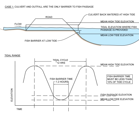 A longitudinal profile showing a road situated next to a tidal water body. A culvert is constructed through the road and water is flowing through the culvert. See caption.