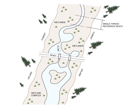 A plan view of a stream wetland complex with a road crossing the wetlands. There are two culverts allowing for flow across the road. A single thread reference reach is shown upstream of the wetlands. The forest and upland area is depicted outside of the wetlands.