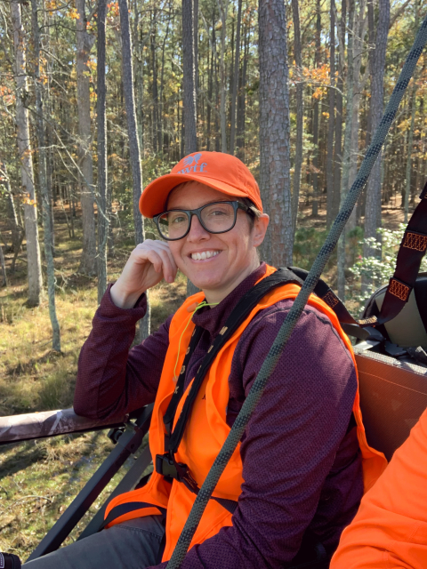 a person wearing blaze orange sits in a tree stand with a forest in the background