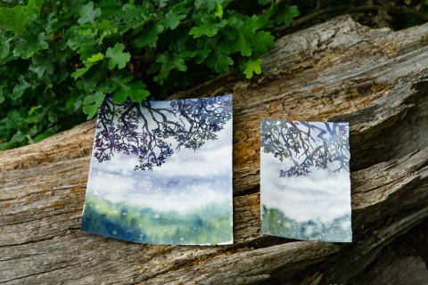 A picture of two small watercolor paintings influenced by the rain coming down and inspired by the large oaks overhead, by Refuge Artist in Residence, Claire Giordano