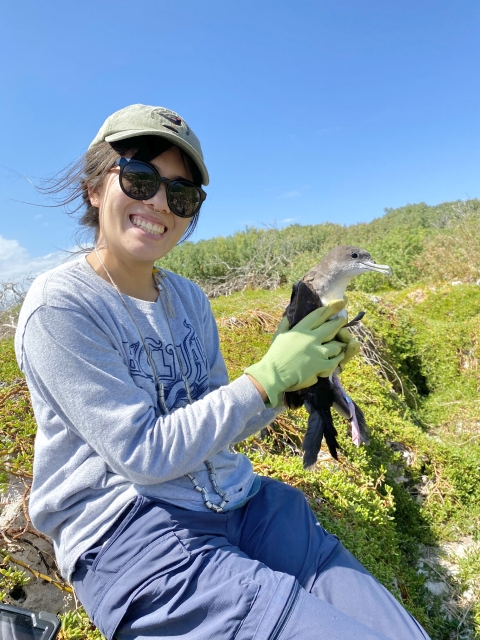 Smiling biologist kneeling on ground with gloves on holds seabird during banding.