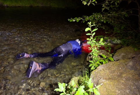 A man in snorkeling gear at night is face down in shallow water using red lights to focus on fish.