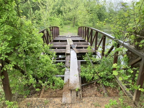 Wooden plants jut out from neglected bridge on Bowie State University Campus property