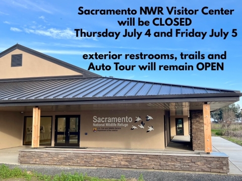 Sacramento NWR Visitor Center will be closed Thursday July 4 and Friday July 5. Exterior restrooms, trails and Auto Tour will remain open.