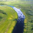 The wetlands of the Yukon Delta