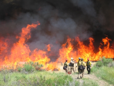 Five firefighters tend to a prescribed fire
