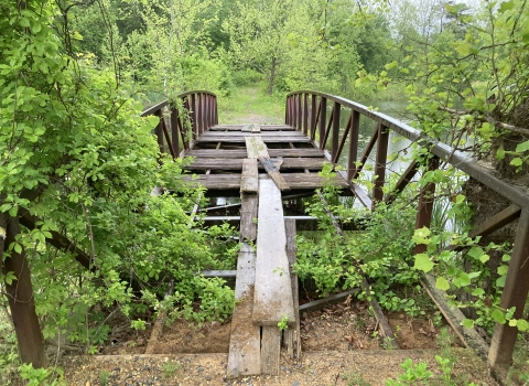 Wooden plants jut out from neglected bridge on Bowie State University Campus property